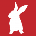 Einfaches Kaninchen T-Shirt. Selbst gestalte ein Kaninchen Piktogramm T-Shirt. Weißes  Kninchen Design.