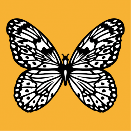 Gestalte dein Schmetterling T-Shirt online