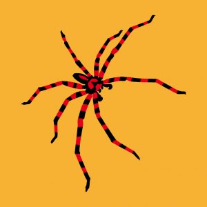 Spinne und Spinnen Design
