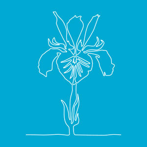 Anpassbares Blume Designs für T-Shirt Druck