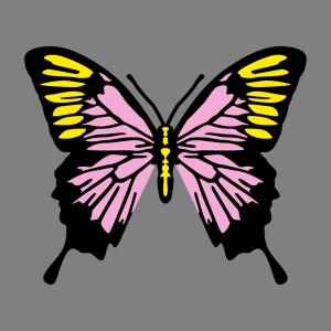 Schmetterling und Frühling Design