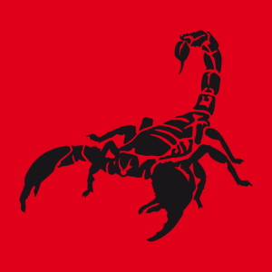 Skorpion und Tierkreis Design für T-Shirt Druck