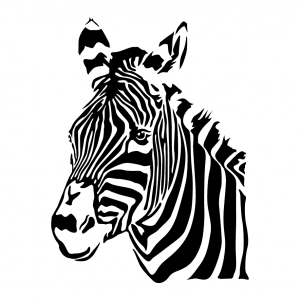 Tiere T-Shirt zu gestalten. Zebra Designs für T-Shirt Druck.
